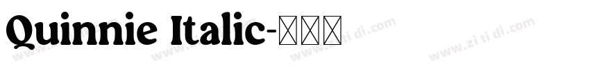 Quinnie Italic字体转换